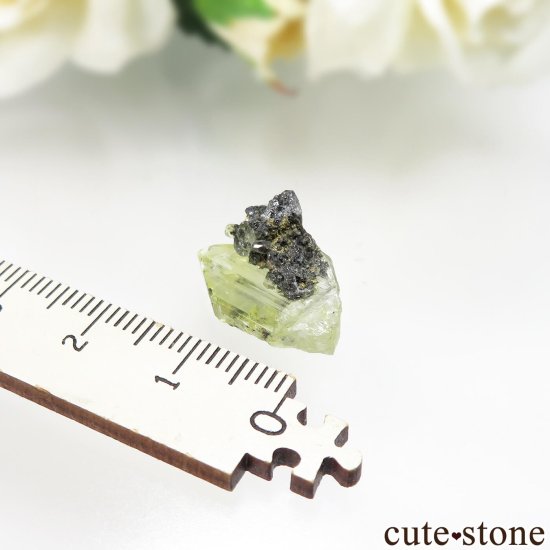 å Touissit 󥰥쥵Ȥθ No.1μ̿4 cute stone