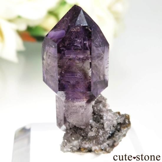 Х֥ ᥸ȡʥץġˤθ No.15μ̿1 cute stone