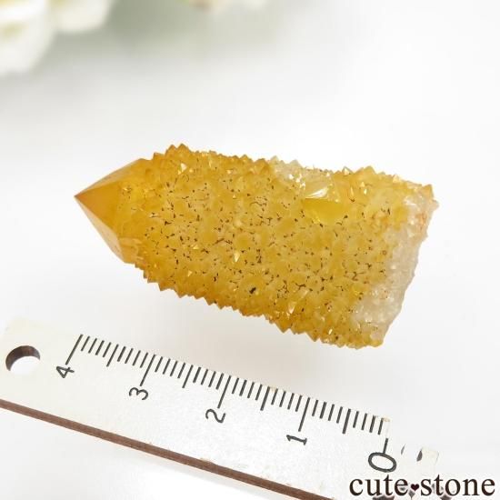 եꥫ 󥷥㥤󥯥ġʥ⡼͡ˤθ No.10μ̿2 cute stone