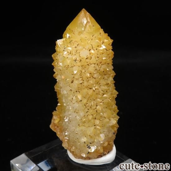 եꥫ 󥷥㥤󥯥ġʥ⡼͡ˤθ No.11μ̿0 cute stone