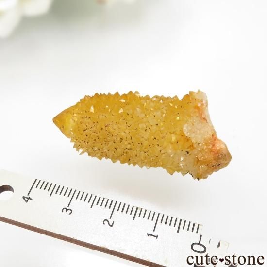 եꥫ 󥷥㥤󥯥ġʥ⡼͡ˤθ No.11μ̿2 cute stone