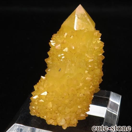 եꥫ 󥷥㥤󥯥ġʥ⡼͡ˤθ No.12μ̿1 cute stone