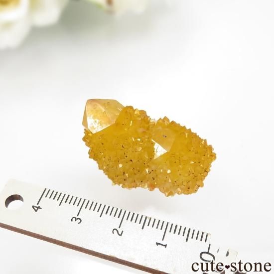 եꥫ 󥷥㥤󥯥ġʥ⡼͡ˤθ No.12μ̿2 cute stone