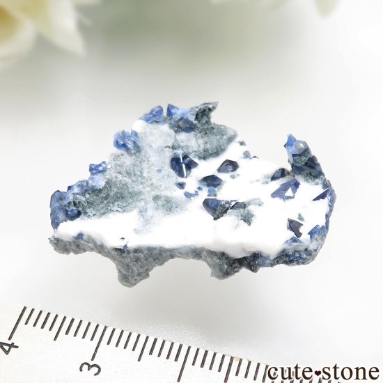 ե˥ California State Gem Mine ٥˥ȥȤθ No.144μ̿6 cute stone