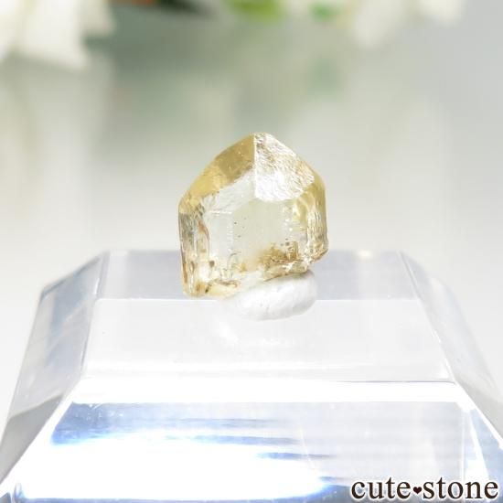 William (Bill) Larson Collection】 ミャンマー Ohngaing産