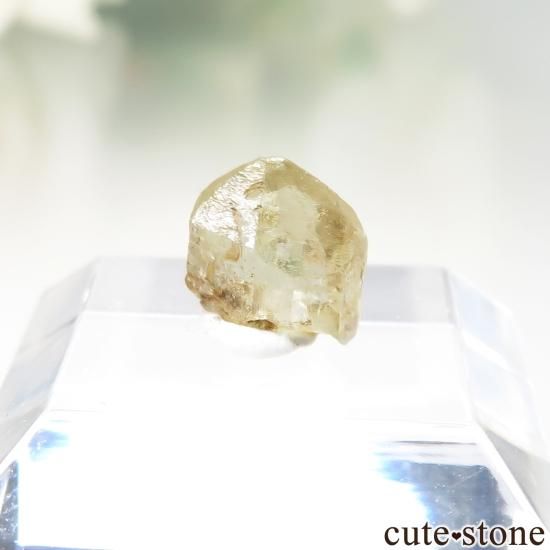 William (Bill) Larson Collection】 ミャンマー Ohngaing産 シンハ