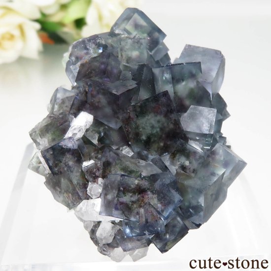 ʥߥӥ Okorusu Mine ե饤ȡĤθ No.33μ̿0 cute stone
