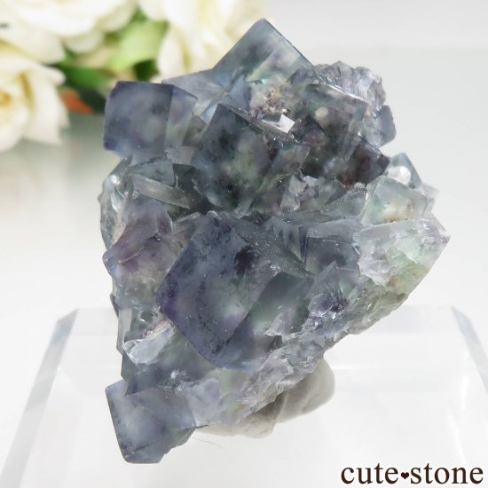 ʥߥӥ Okorusu Mine ե饤ȡĤθ No.33μ̿2 cute stone