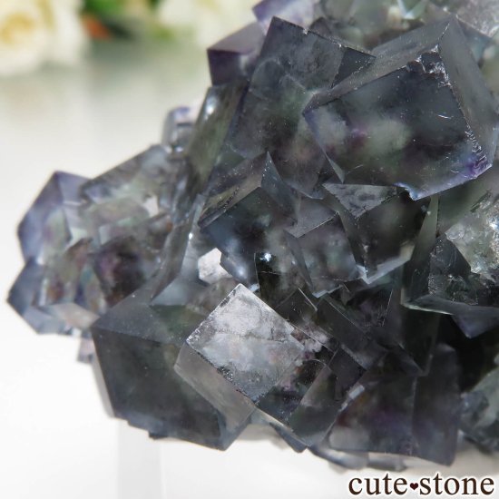 ʥߥӥ Okorusu Mine ե饤ȡĤθ No.33μ̿4 cute stone