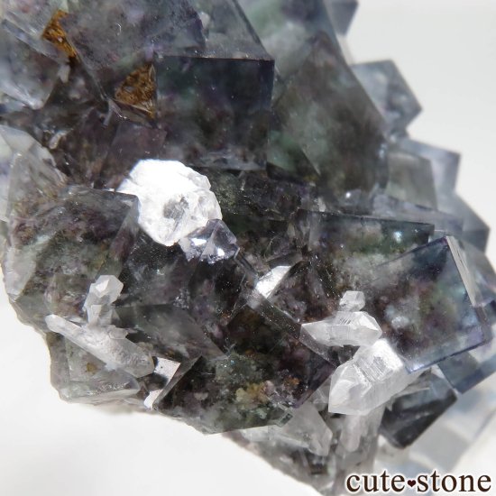 ʥߥӥ Okorusu Mine ե饤ȡĤθ No.33μ̿5 cute stone