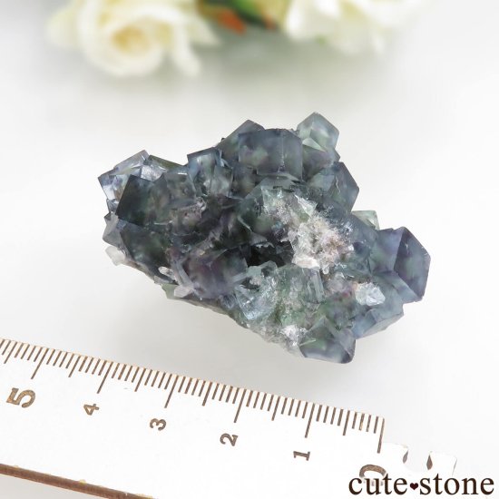 ʥߥӥ Okorusu Mine ե饤ȡĤθ No.33μ̿6 cute stone