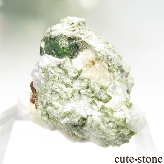  Belqeys MountainΥǥޥȥɥͥåȤθ No.22μ̿1 cute stone