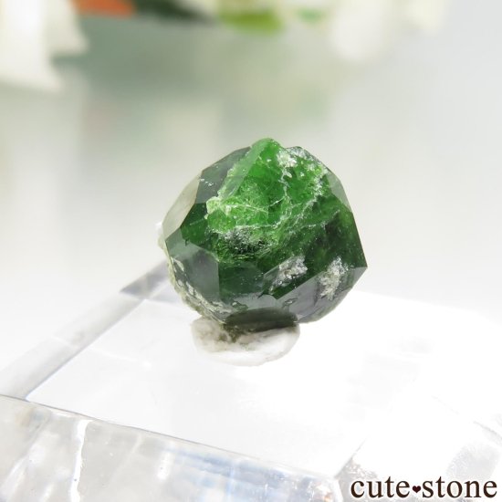  Belqeys MountainΥǥޥȥɥͥåȤθ No.23μ̿1 cute stone