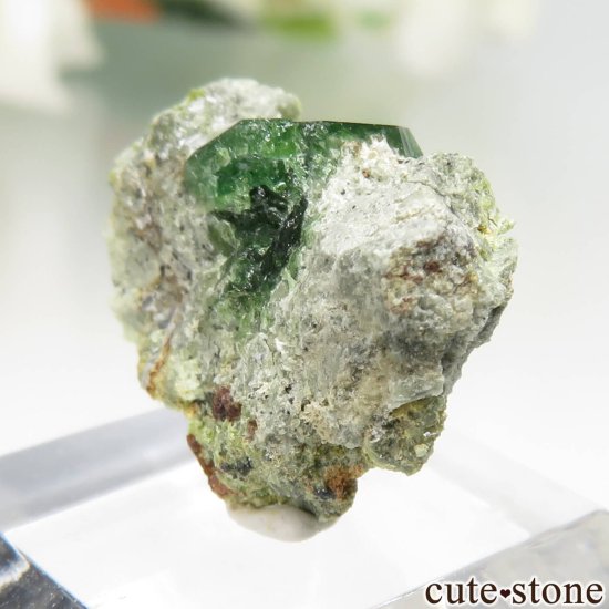  Belqeys MountainΥǥޥȥɥͥåȤθ No.24μ̿0 cute stone