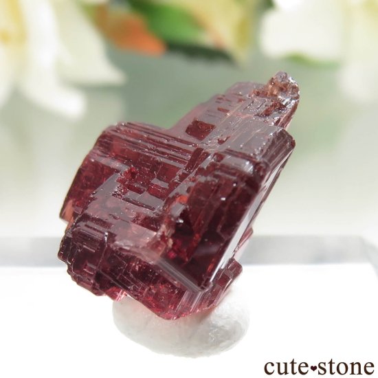 ֥饸 Navegadora claim ڥƥ󥬡ͥåȤθ No.10μ̿2 cute stone