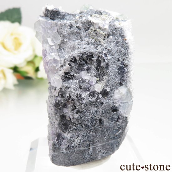  ʡ Xia Yang Mine ե饤ȡĤθ No.41μ̿1 cute stone