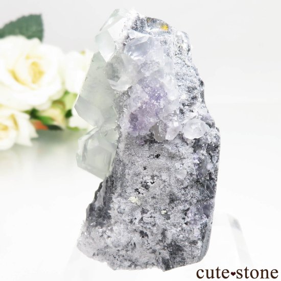  ʡ Xia Yang Mine ե饤ȡĤθ No.41μ̿2 cute stone