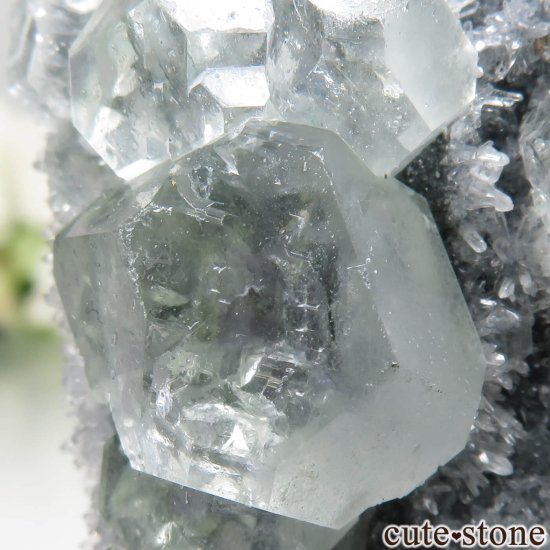  ʡ Xia Yang Mine ե饤ȡĤθ No.41μ̿3 cute stone