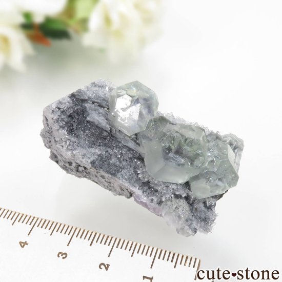  ʡ Xia Yang Mine ե饤ȡĤθ No.41μ̿4 cute stone