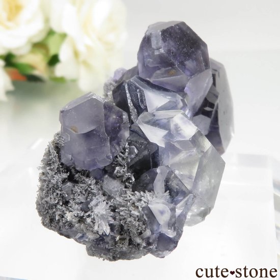  ʡ Xia Yang Mine ե饤ȡĤθ No.42μ̿0 cute stone