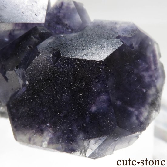  ʡ Xia Yang Mine ե饤ȡĤθ No.42μ̿3 cute stone