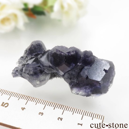  ʡ Xia Yang Mine ե饤ȡĤθ No.42μ̿5 cute stone