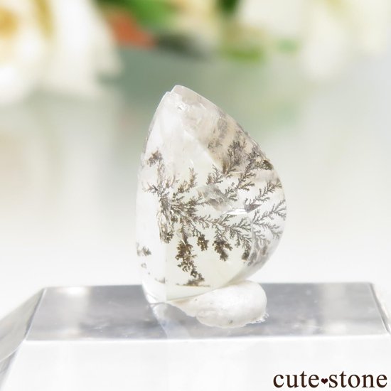 ֥饸뻺 ǥɥƥåĤΥ롼 No.35μ̿1 cute stone