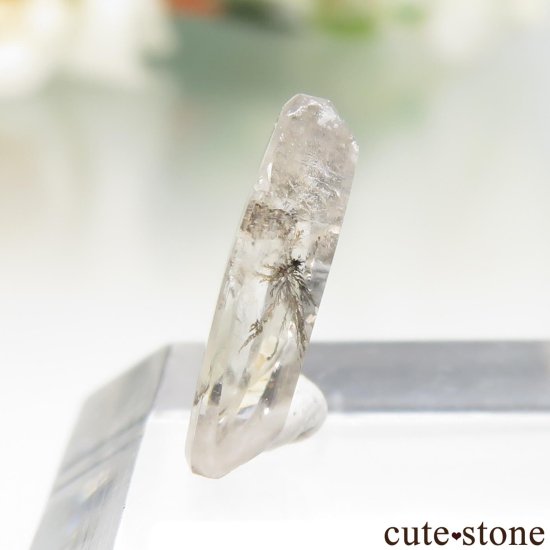 ֥饸뻺 ǥɥƥåĤΥ롼 No.35μ̿2 cute stone