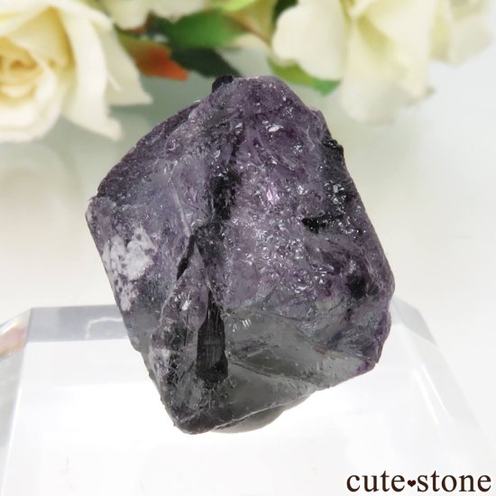 ʥߥӥ 󥴻 ѡץե饤ȡ֥åȥޥθ No.19μ̿0 cute stone