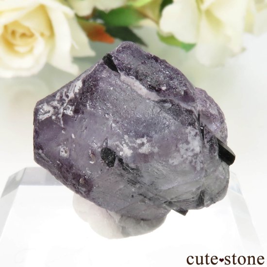 ʥߥӥ 󥴻 ѡץե饤ȡ֥åȥޥθ No.19μ̿1 cute stone