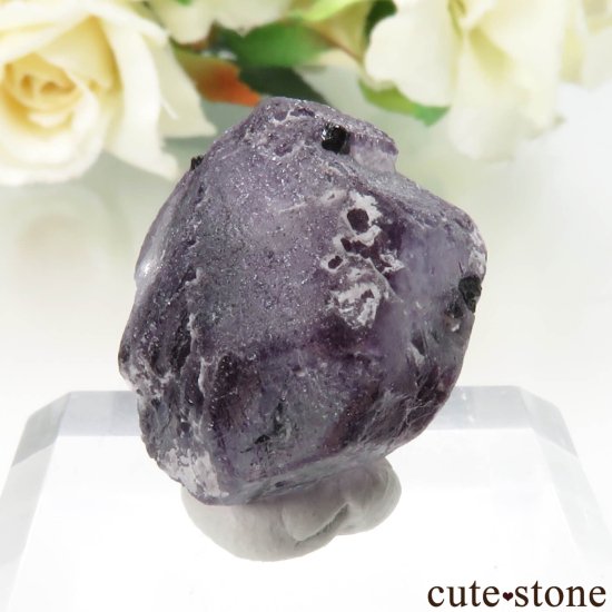 ʥߥӥ 󥴻 ѡץե饤ȡ֥åȥޥθ No.19μ̿2 cute stone