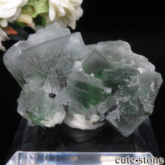 ナミビア エロンゴ産 グリーン×ライトブルーフローライト