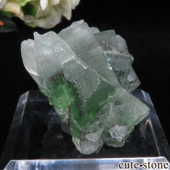 ʥߥӥ 󥴻 ꡼ߥ饤ȥ֥롼ե饤ȡ֥åȥޥθ No.20μ̿0 cute stone