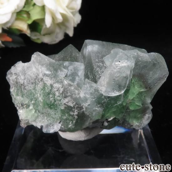 ʥߥӥ 󥴻 ꡼ߥ饤ȥ֥롼ե饤ȡ֥åȥޥθ No.20μ̿1 cute stone