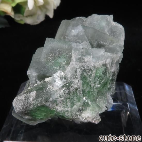 ナミビア　エロンゴ産　フローライト ナミビア/エロンゴ産】フローライトwithトルマリン - メルカリ