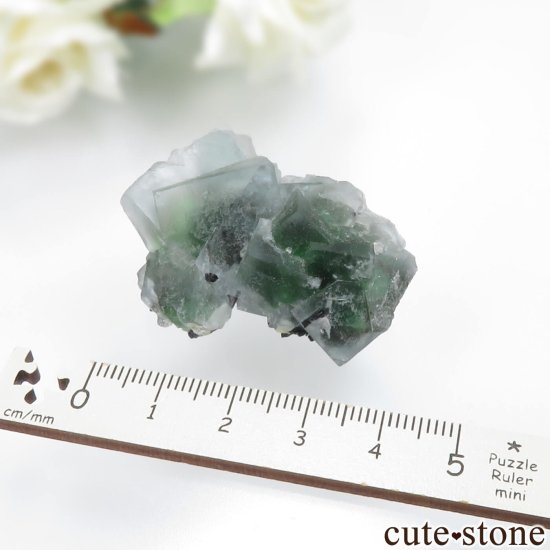 ʥߥӥ 󥴻 ꡼ߥ饤ȥ֥롼ե饤ȡ֥åȥޥθ No.20μ̿3 cute stone