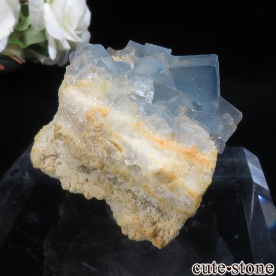 ꥫ ˥塼ᥭ Blanchard Mine ֥롼ե饤Ȥθ No.28μ̿0 cute stone