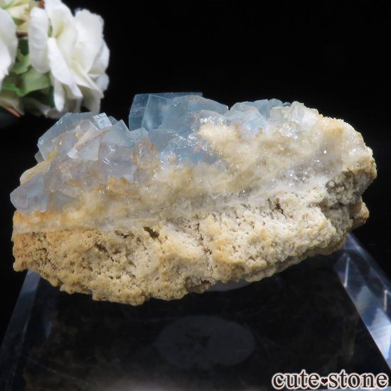 ꥫ ˥塼ᥭ Blanchard Mine ֥롼ե饤Ȥθ No.28μ̿1 cute stone
