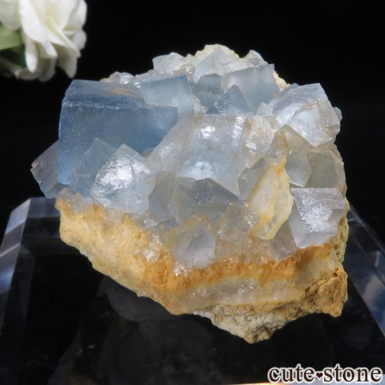 ꥫ ˥塼ᥭ Blanchard Mine ֥롼ե饤Ȥθ No.28μ̿2 cute stone
