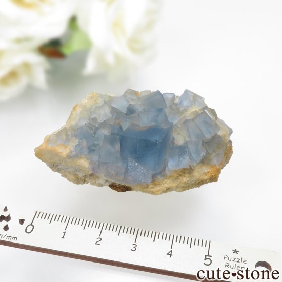 ꥫ ˥塼ᥭ Blanchard Mine ֥롼ե饤Ȥθ No.28μ̿4 cute stone