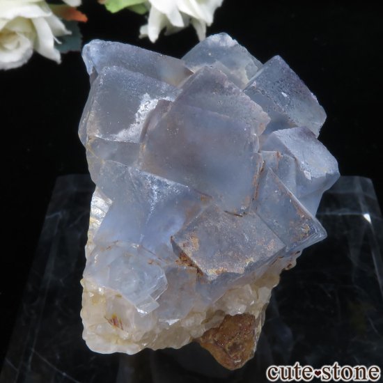 ꥫ ˥塼ᥭ Blanchard Mine ֥롼ե饤Ȥθ No.29μ̿0 cute stone