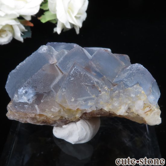ꥫ ˥塼ᥭ Blanchard Mine ֥롼ե饤Ȥθ No.29μ̿1 cute stone