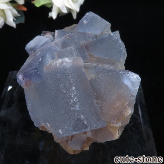 ꥫ ˥塼ᥭ Blanchard Mine ֥롼ե饤Ȥθ No.29μ̿2 cute stone
