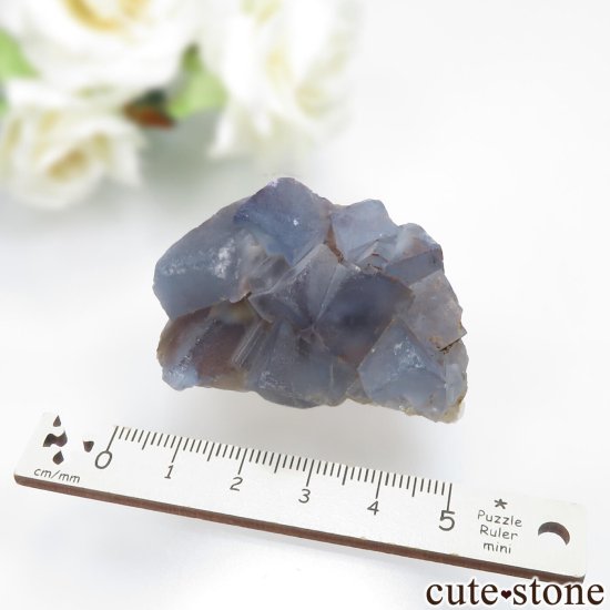 ꥫ ˥塼ᥭ Blanchard Mine ֥롼ե饤Ȥθ No.29μ̿3 cute stone