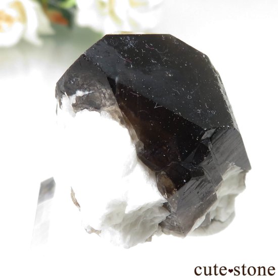 츩 󥴡 - ꥪ(徽)ХȤθ No.4μ̿0 cute stone