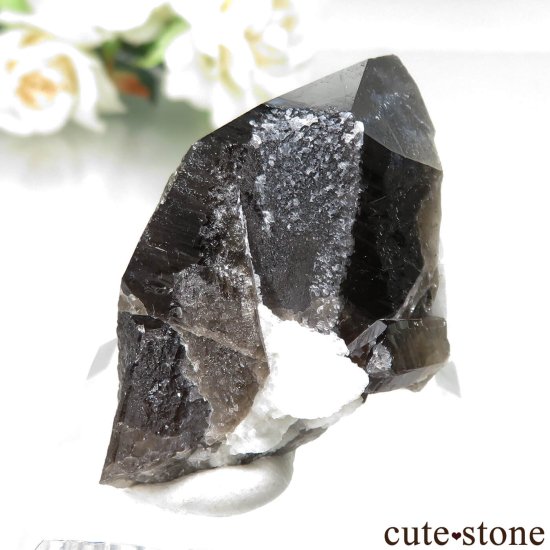 츩 󥴡 - ꥪ(徽)ХȤθ No.4μ̿2 cute stone
