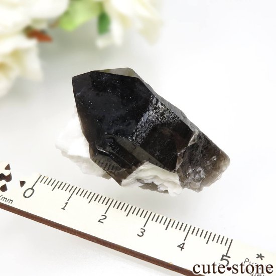 츩 󥴡 - ꥪ(徽)ХȤθ No.4μ̿3 cute stone