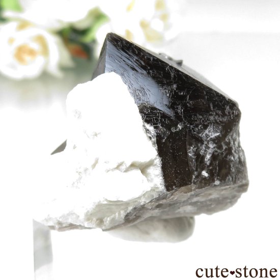 츩 󥴡 - ꥪ(徽)ХȤθ No.5μ̿0 cute stone