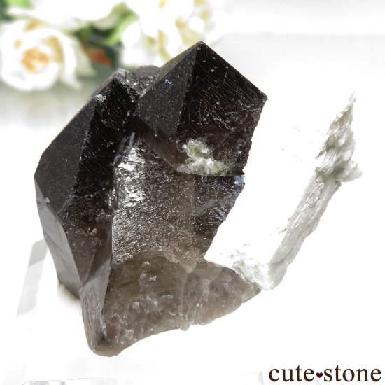 츩 󥴡 - ꥪ(徽)ХȤθ No.5μ̿1 cute stone