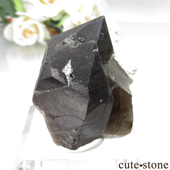 츩 󥴡 - ꥪ(徽)ХȤθ No.5μ̿2 cute stone